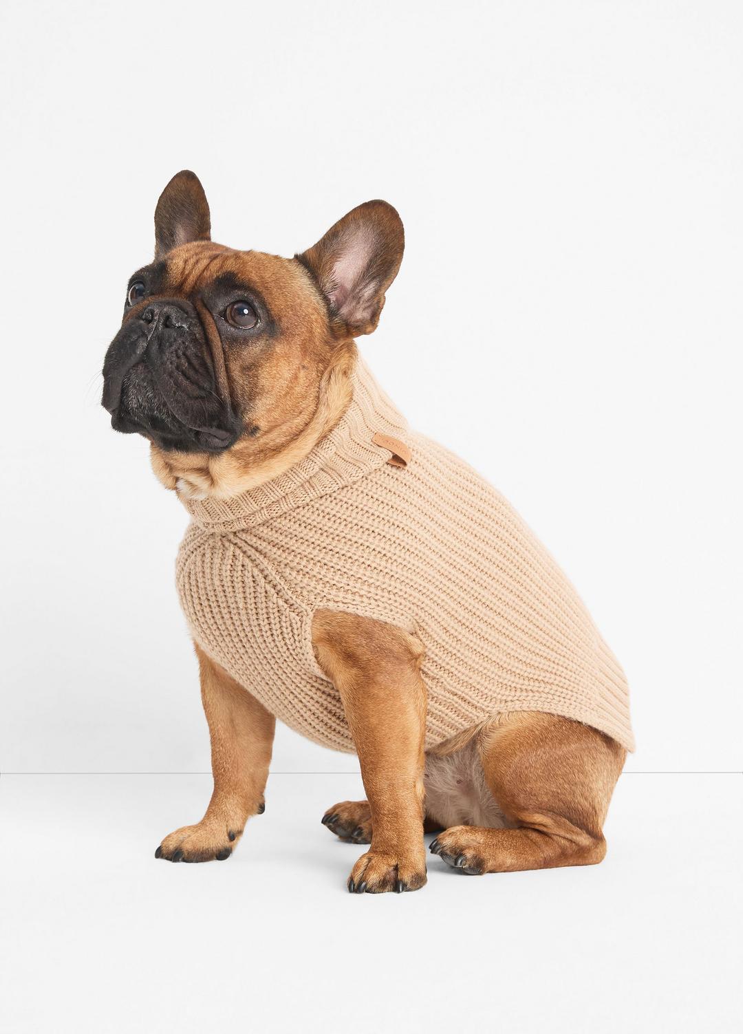 VINCE Women Wool and Cashmere Shaker-Stitch Dog Sweater in Dog Accessories